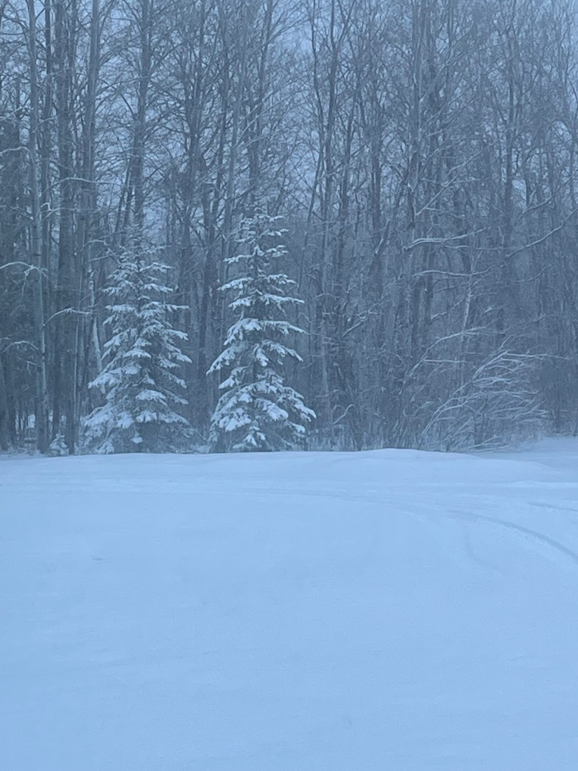 From this sad, winter landscape…will emerge…in 13 days….an Ice Cream Truck!